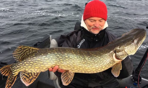 VIDEO: Zeelt als kunstaas – Tench Swimbait van Freak of Nature