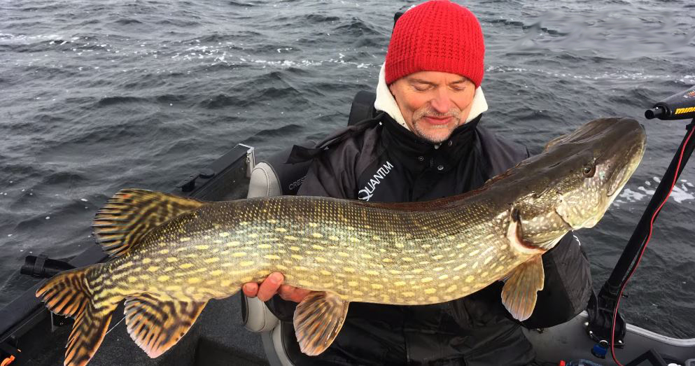 VIDEO: Zeelt als kunstaas – Tench Swimbait van Freak of Nature