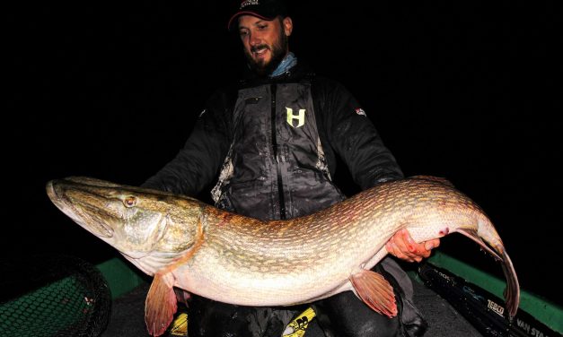 ***BREAKING CATCH*** 137 cm MONSTER snoek voor Fredrik Harbort