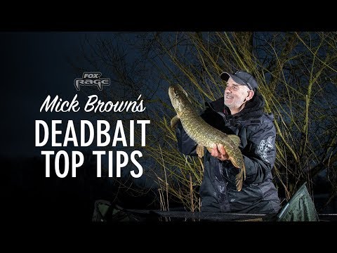 Dood aas vissen op snoek – Tips van diehard crack