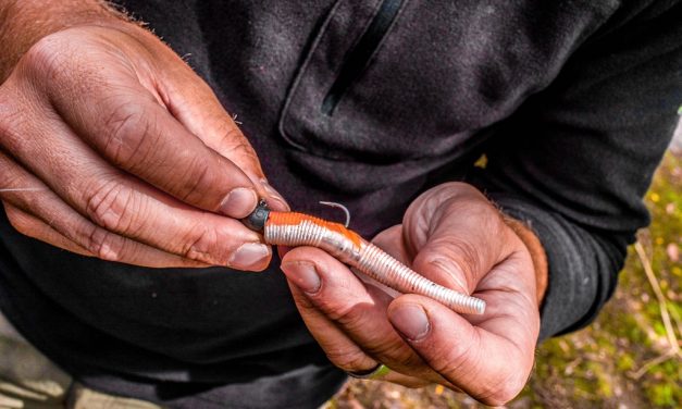 Ned riggen met Korum & ingenieus sling systeem voor snoek
