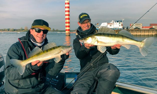 VIDEO CHALLENGE: V-staart VS schoepstaart