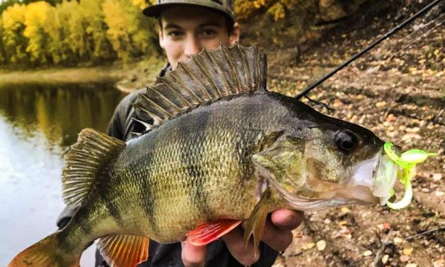 ROOFMEISTER TOP GEAR – Droomreis naar Colombia & Venom lures
