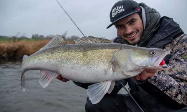 De nieuwste shads van Abu Garcia Beast – Predator magnets