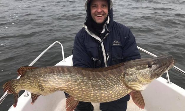 Roofmeister Inside – Hardbaits VS softbaits & meer dan 40 actuele vangstfoto’s