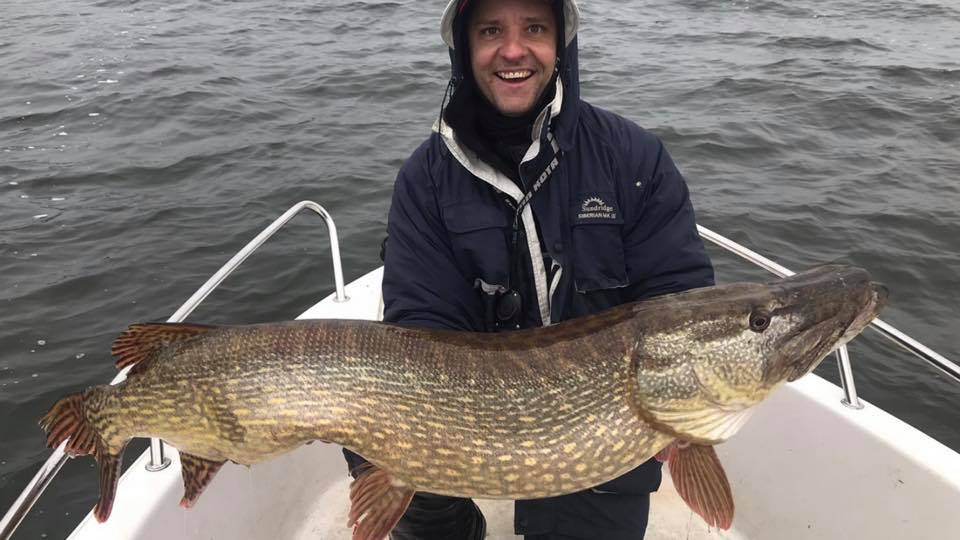 Roofmeister Inside – Hardbaits VS softbaits & meer dan 40 actuele vangstfoto’s