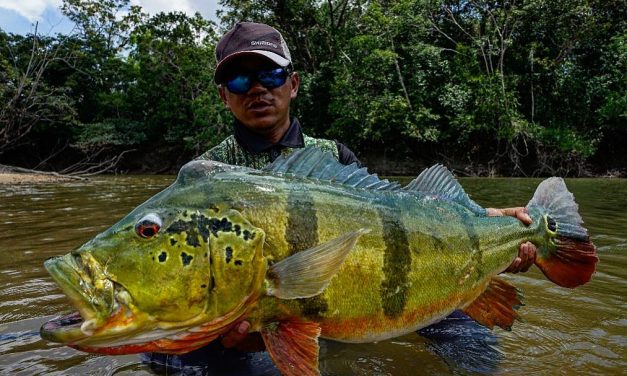 Bucket-list-vistrip in de jungle van Colombia – Wie durft?