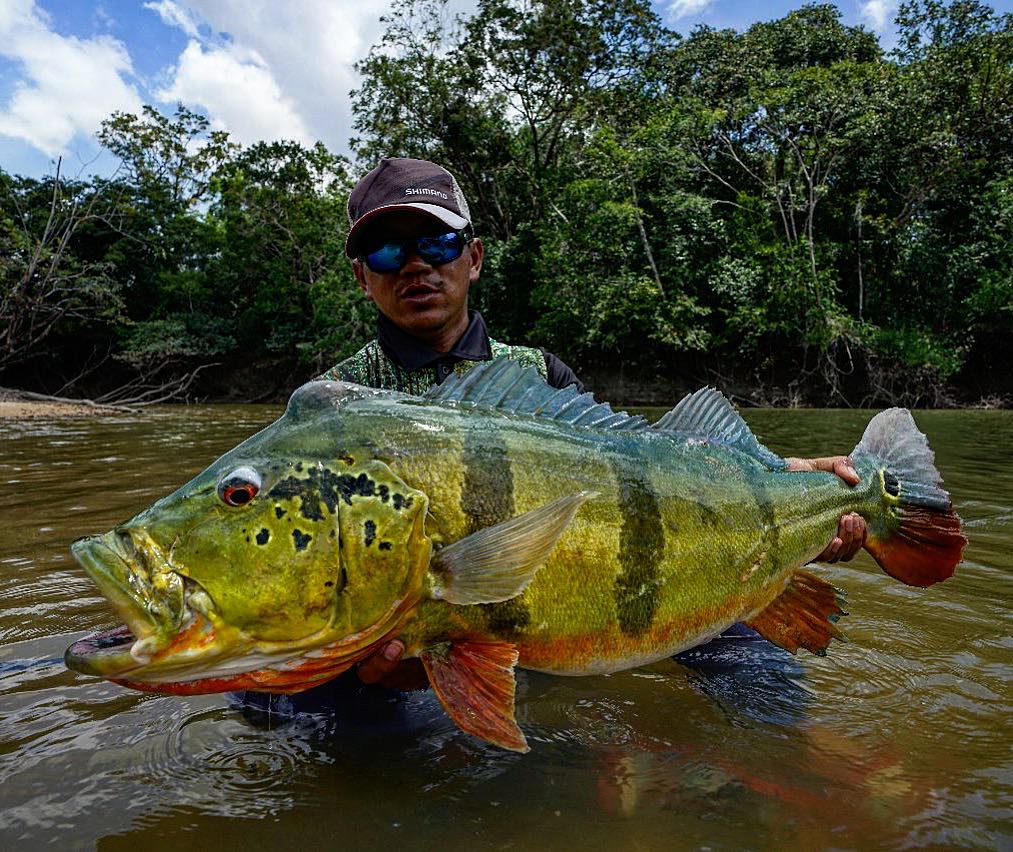 Bucket-list-vistrip in de jungle van Colombia – Wie durft?