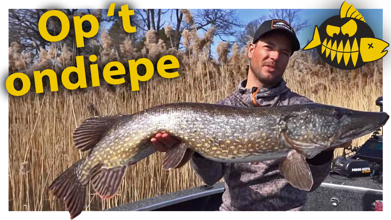 ***ROOFMEISTER VIDEO*** Metersnoek op het ondiepe – Sean Wit