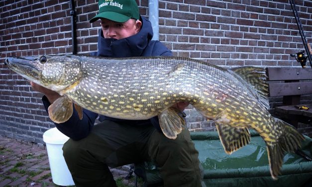 Zo vang je grote snoek met dood aas in de winter – Jeroen Bouwer