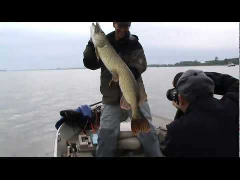 124 cm snoek op de Cowgirl – Een gouwe ouwe van Sander Paans