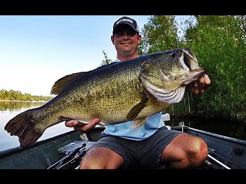 50 spectaculaire oppervlakte aanbeten van black bass