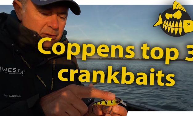 ***ROOFMEISTER VIDEO*** De top 3 crankbaits van Luc Coppens