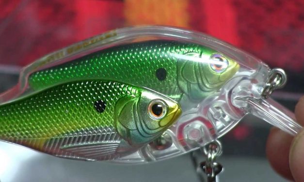 Kunstaas met een filosofie – LiveTarget – 15% KORTING