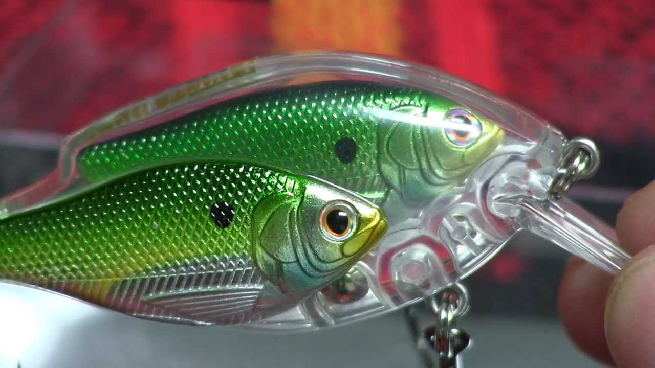 Kunstaas met een filosofie – LiveTarget – 15% KORTING