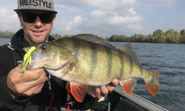 ***VIDEO*** Streetfishing Zwolle vanuit de boot