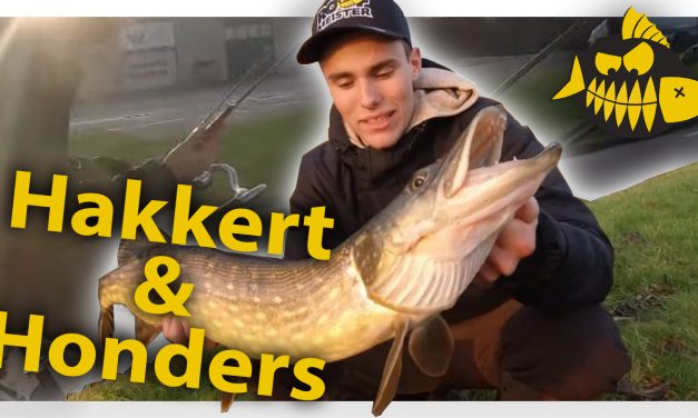 ***Roofmeister VIDEO*** Hakkert & Honders – Fietsend snoeken