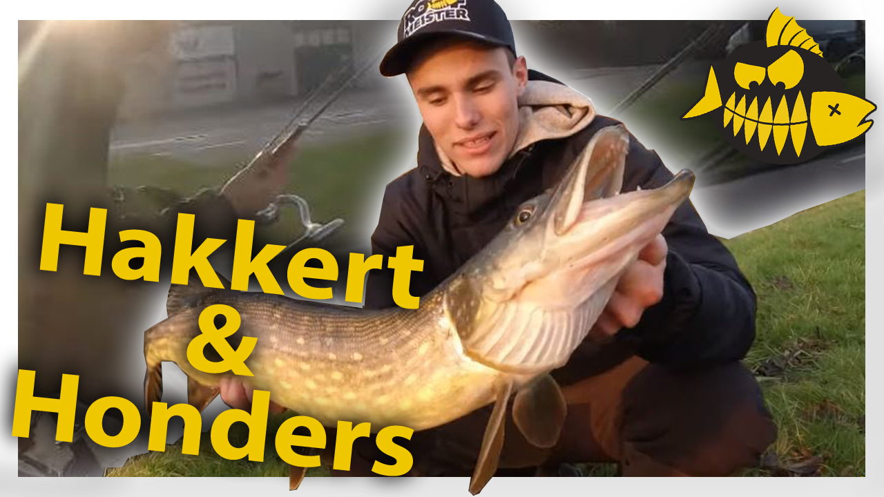 ***Roofmeister VIDEO*** Hakkert & Honders – Fietsend snoeken