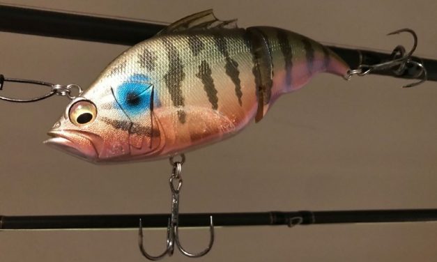 Tackle Meister Review – Megabass Vatalion 115 – Kunstwerk bij Wout van Leeuwen