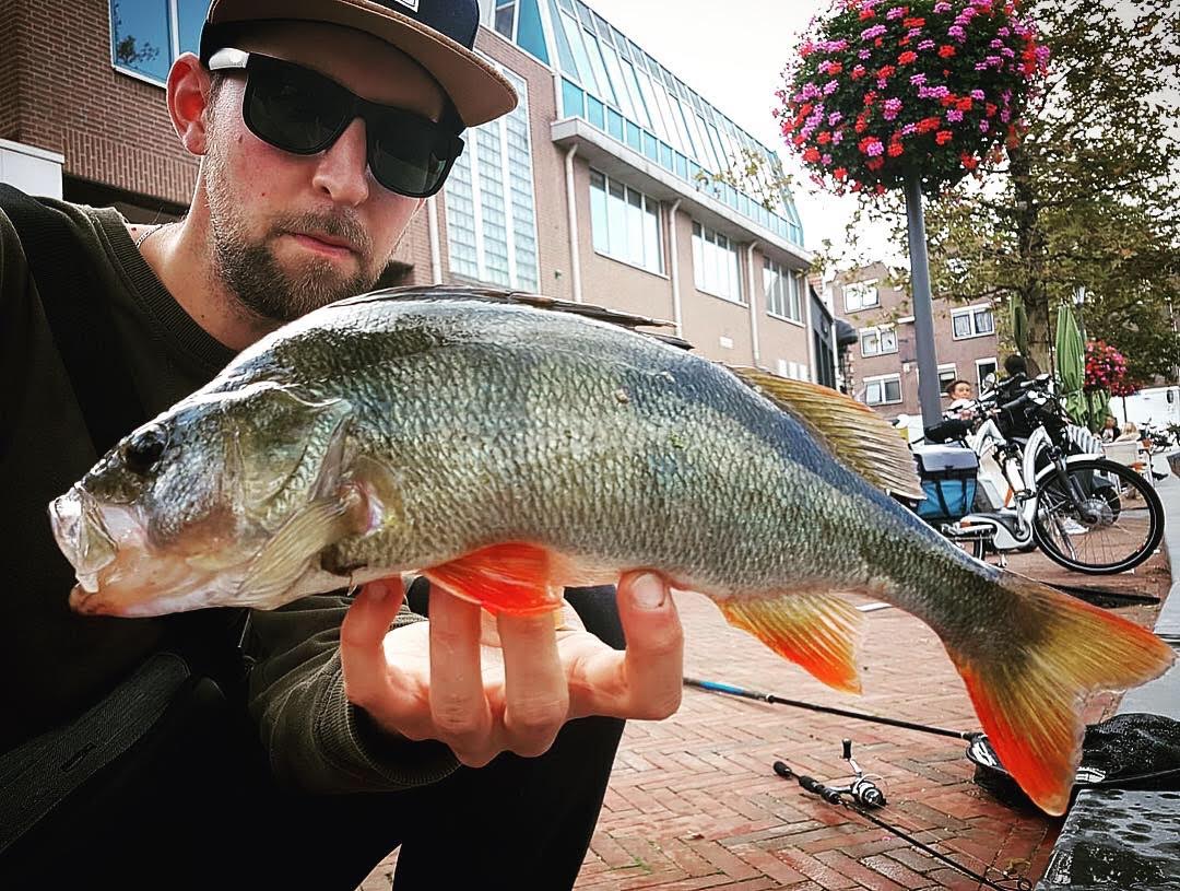 Trillend op baars – De chatterbait – Als search & finesse bait