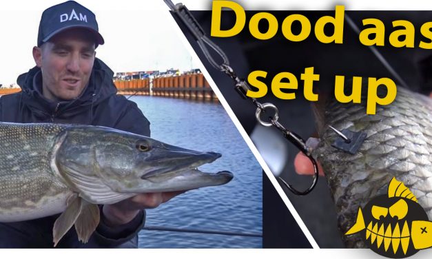 ***Roofmeister VIDEO*** De dood aas set up van specialist Erik Visser