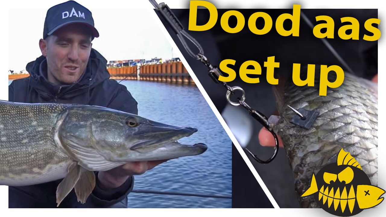 ***Roofmeister VIDEO*** De dood aas set up van specialist Erik Visser