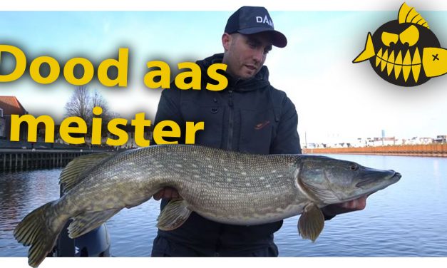 ***ROOFMEISTER VIDEO*** Metersnoek op dood aas – Fireball & dobbers