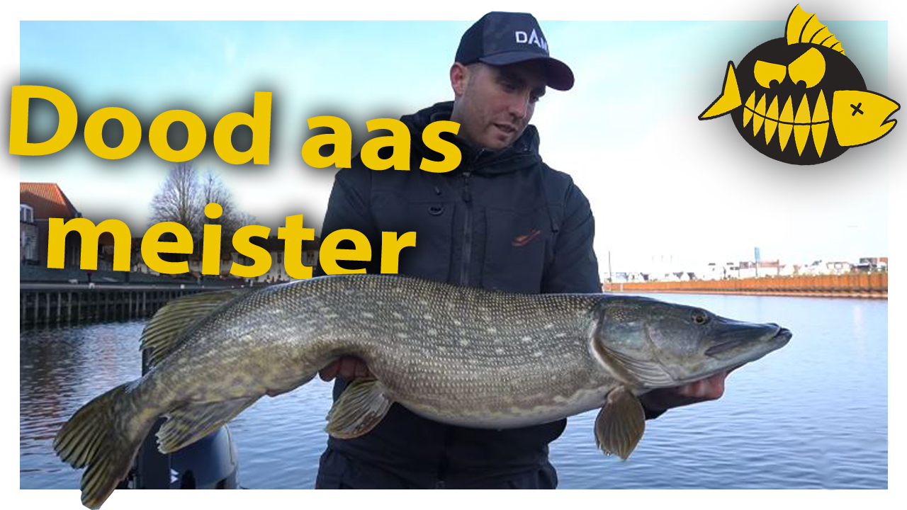 ***ROOFMEISTER VIDEO*** Metersnoek op dood aas – Fireball & dobbers
