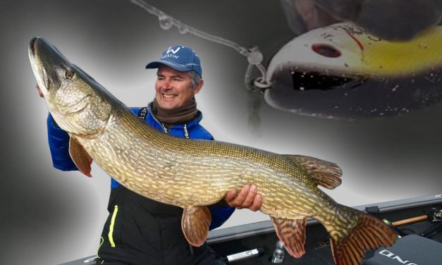 De geniale fluorocarbon knoop van Luc Coppens – Geen spelden of sleeves meer nodig