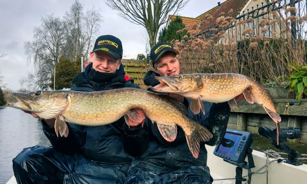VIDEO: Triple hook up GROTE snoek