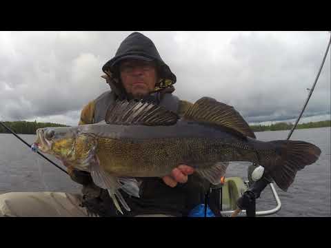 Pelagisch op snoekbaars – Target shooting