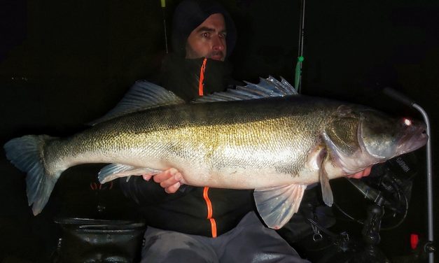 Een avond pelagisch met Bas Meeuwenoord – Kasteel van 99,9 cm
