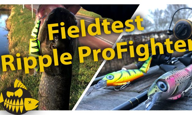 Tackle Meister Review – Ripple ProFighter – Pike magnet