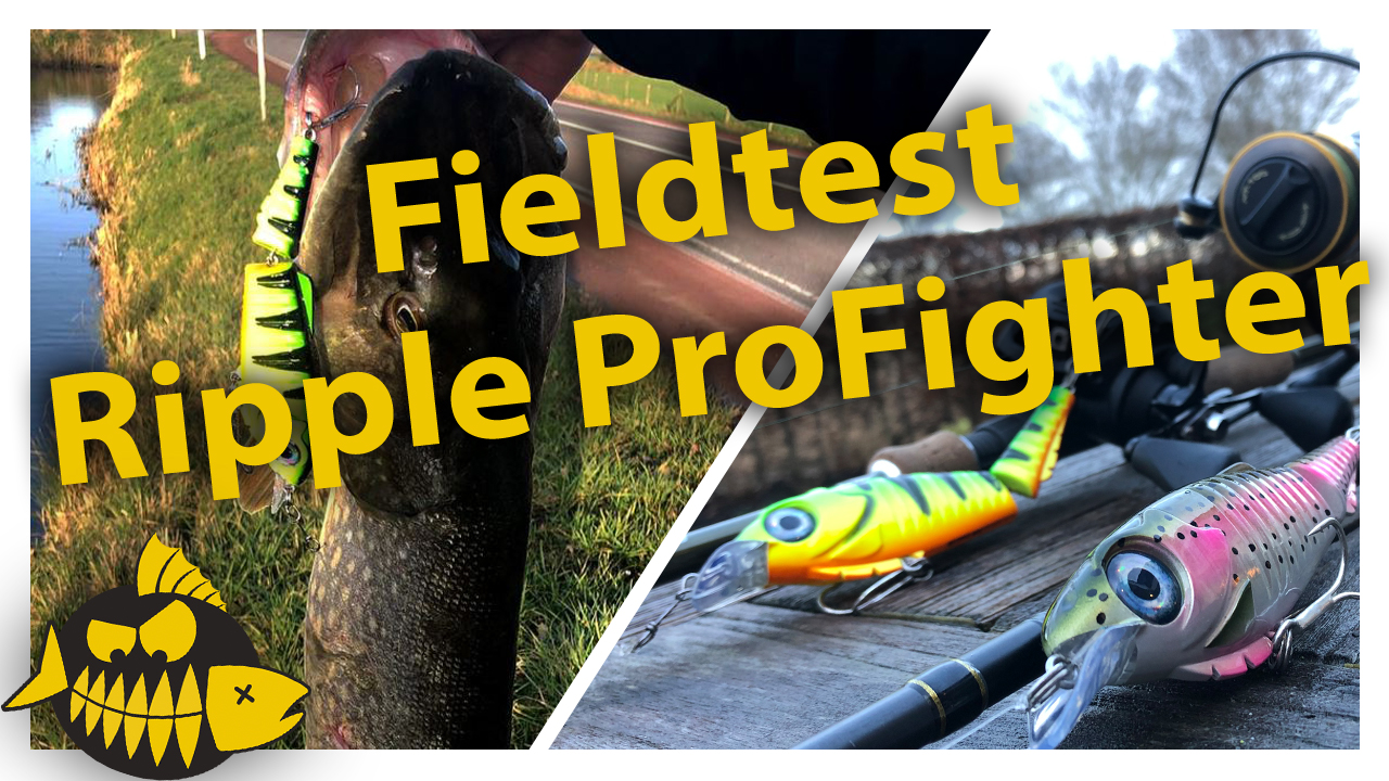 Tackle Meister Review – Ripple ProFighter – Pike magnet