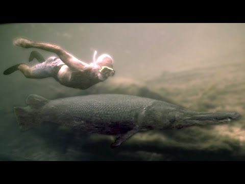Jeremy Wade zwemt met alligator gar