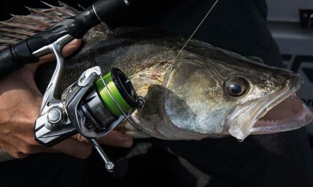 Zo maakt Shimano de beste molens en reels ter wereld – Japans vakmanschap