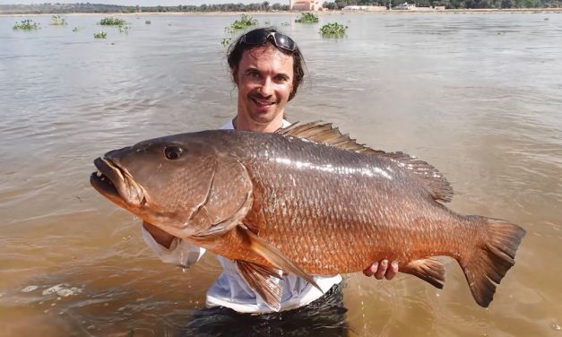 Visreis VIDEO – Op grof wild voor de kust van Angola