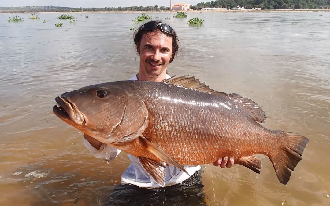 Visreis VIDEO – Op grof wild voor de kust van Angola