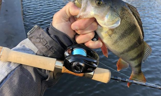 Dé webshop voor al je finesse visserijen – Van Carolina rig tot UL chatterbaits