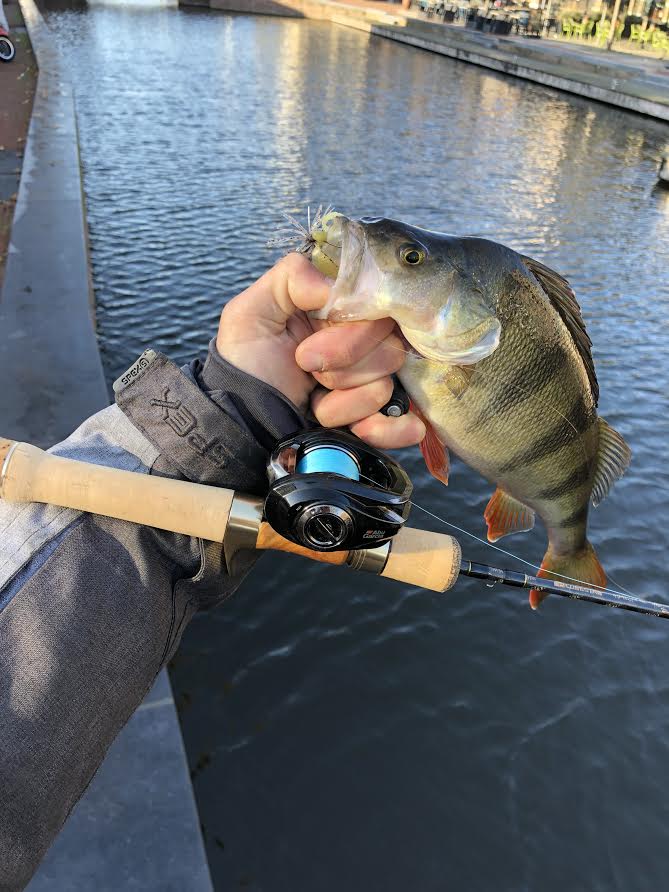 Dé webshop voor al je finesse visserijen – Van Carolina rig tot UL chatterbaits