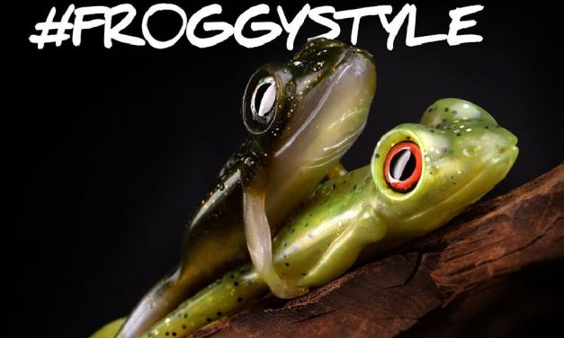Roofmeister Top Gear – Standje Froggy style & zeebaars seizoen geopend