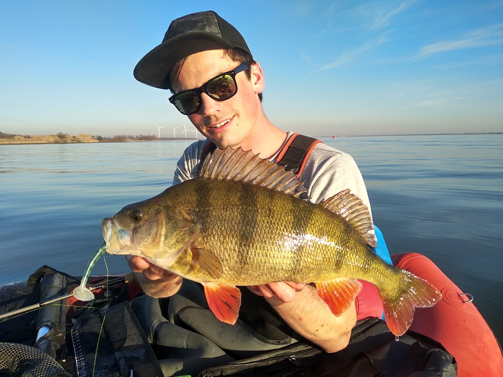 De TOP 3 voor baars van Simon Torenbeek – Spinners, topwater en shads