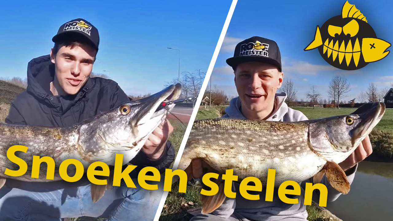 ***Hakkert & Honders*** Snoek stelen – Dikke 80’ers en 90’ers in de polder