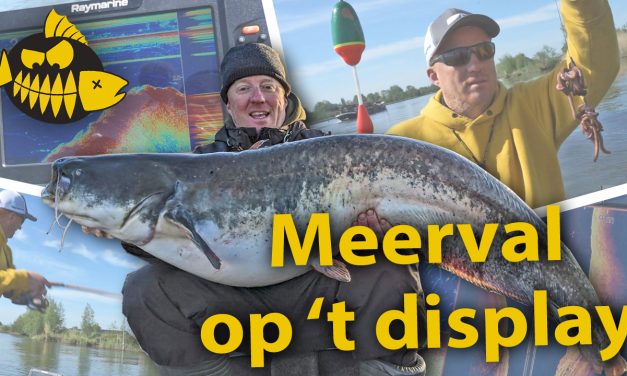 ***Roofmeister VIDEO*** Vissen op meerval met Hendrik-Jan Verheij – Fishfinder cruciaal