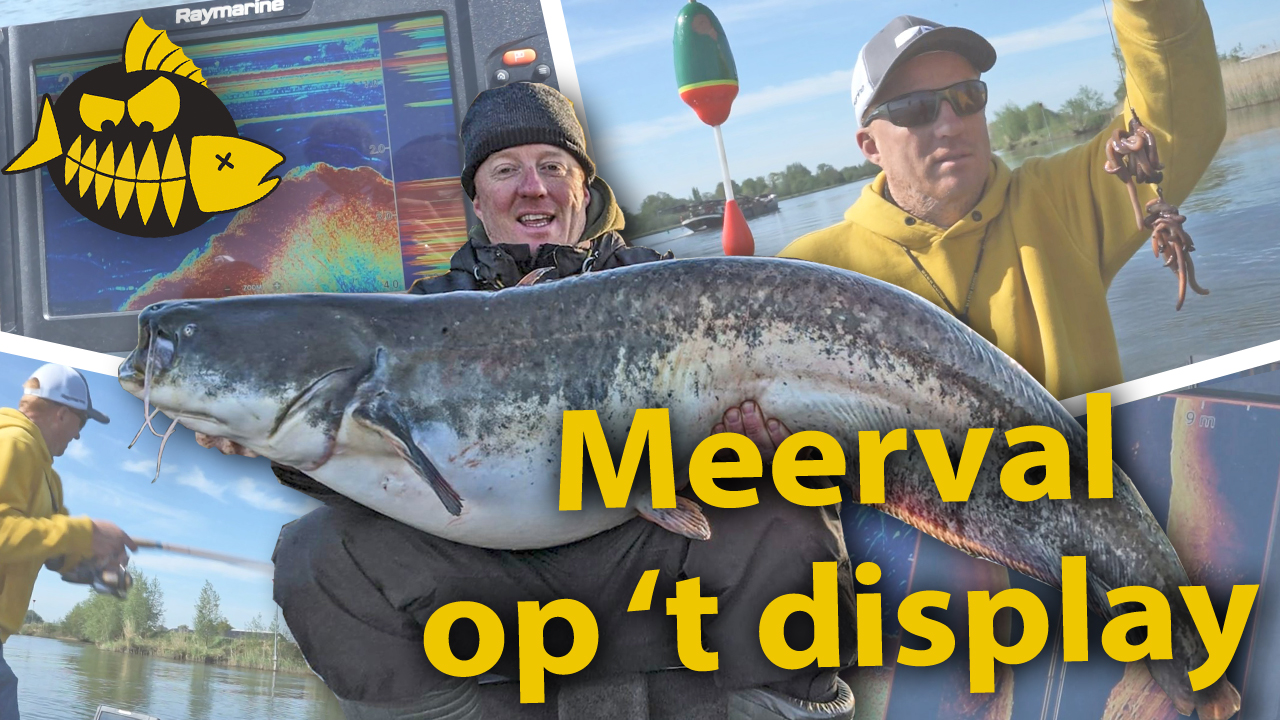 ***Roofmeister VIDEO*** Vissen op meerval met Hendrik-Jan Verheij – Fishfinder cruciaal