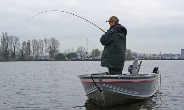 De W.A.L. hengel van Michael Stalenhoef Penvissen op snoekbaars