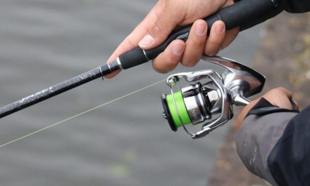De meest populaire Shimano molen – Boordevol features