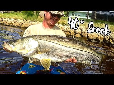 Op zicht op snook