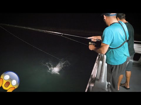 Tarpon vanaf de veerboot