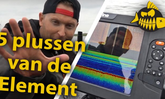 De fishfinder voor iedereen – 5+1 pluspunten van de Raymarine Element